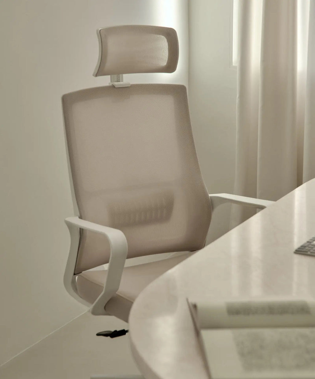 Chaise de Bureau Ergonomique Zenith - Edition Spéciale