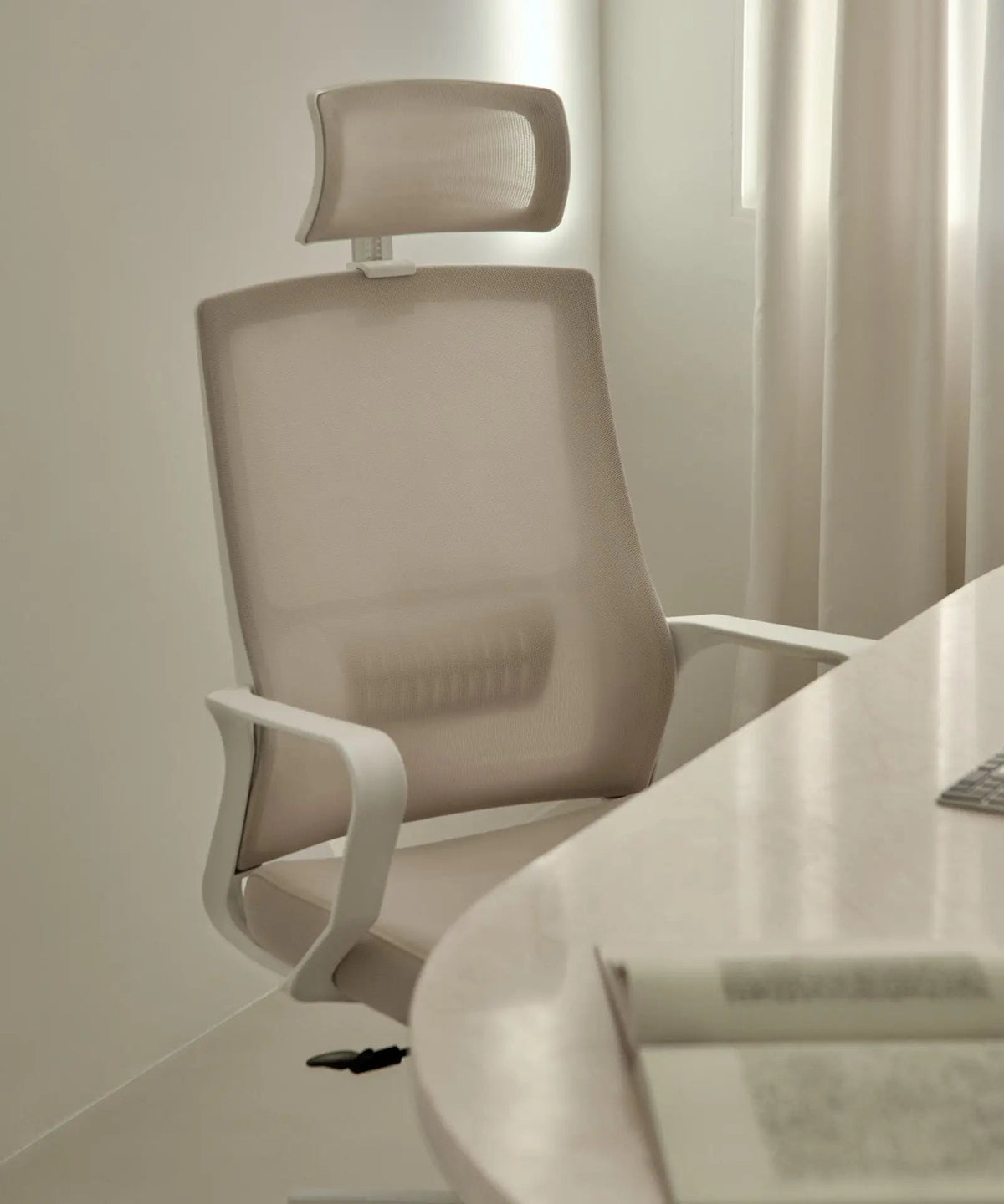 Chaise de Bureau Ergonomique Zenith - Edition Spéciale