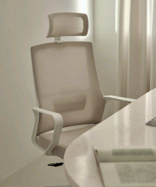 Chaise de Bureau Ergonomique Zenith - Edition Spéciale
