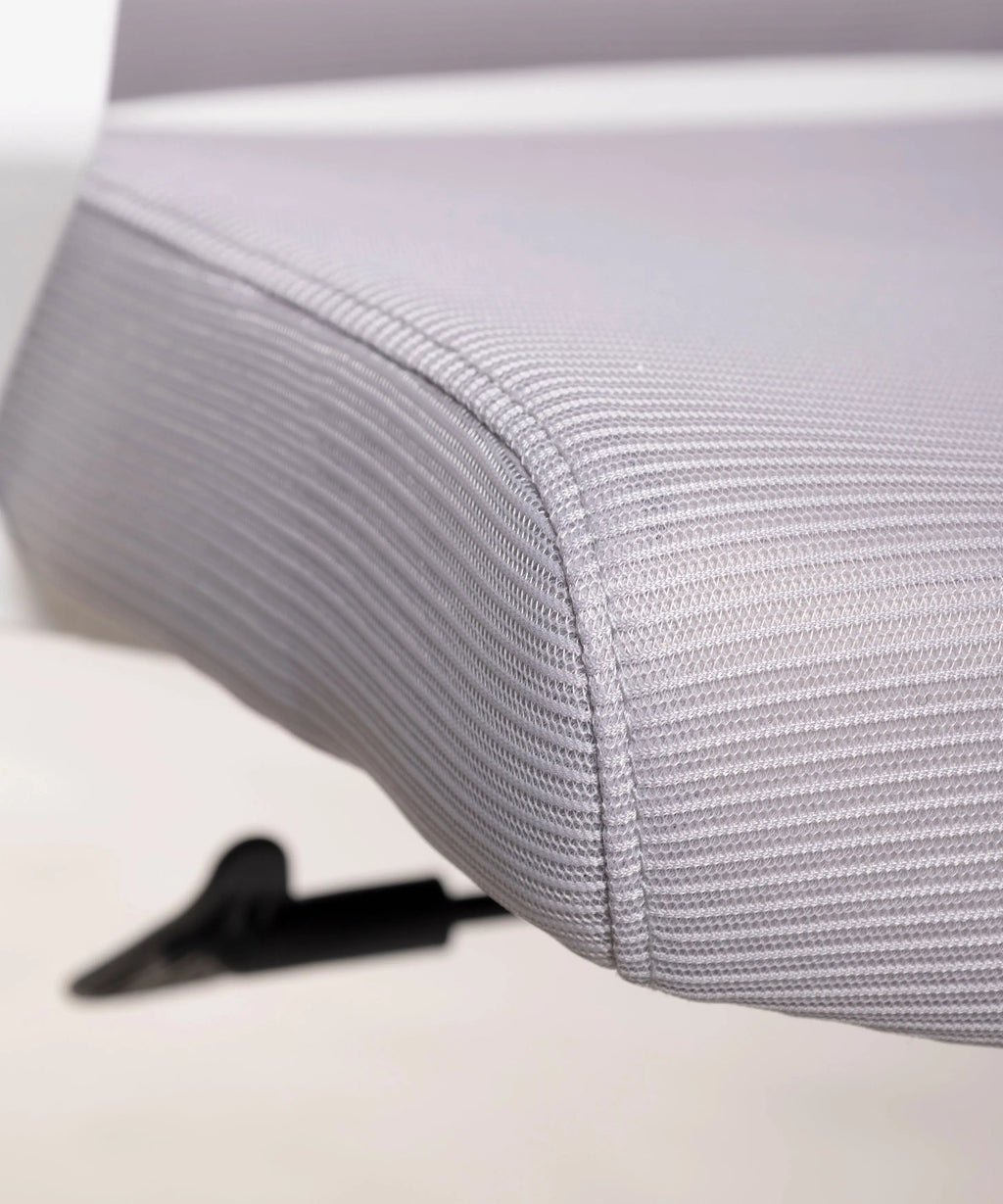 Chaise de Bureau Ergonomique Zenith - Edition Spéciale