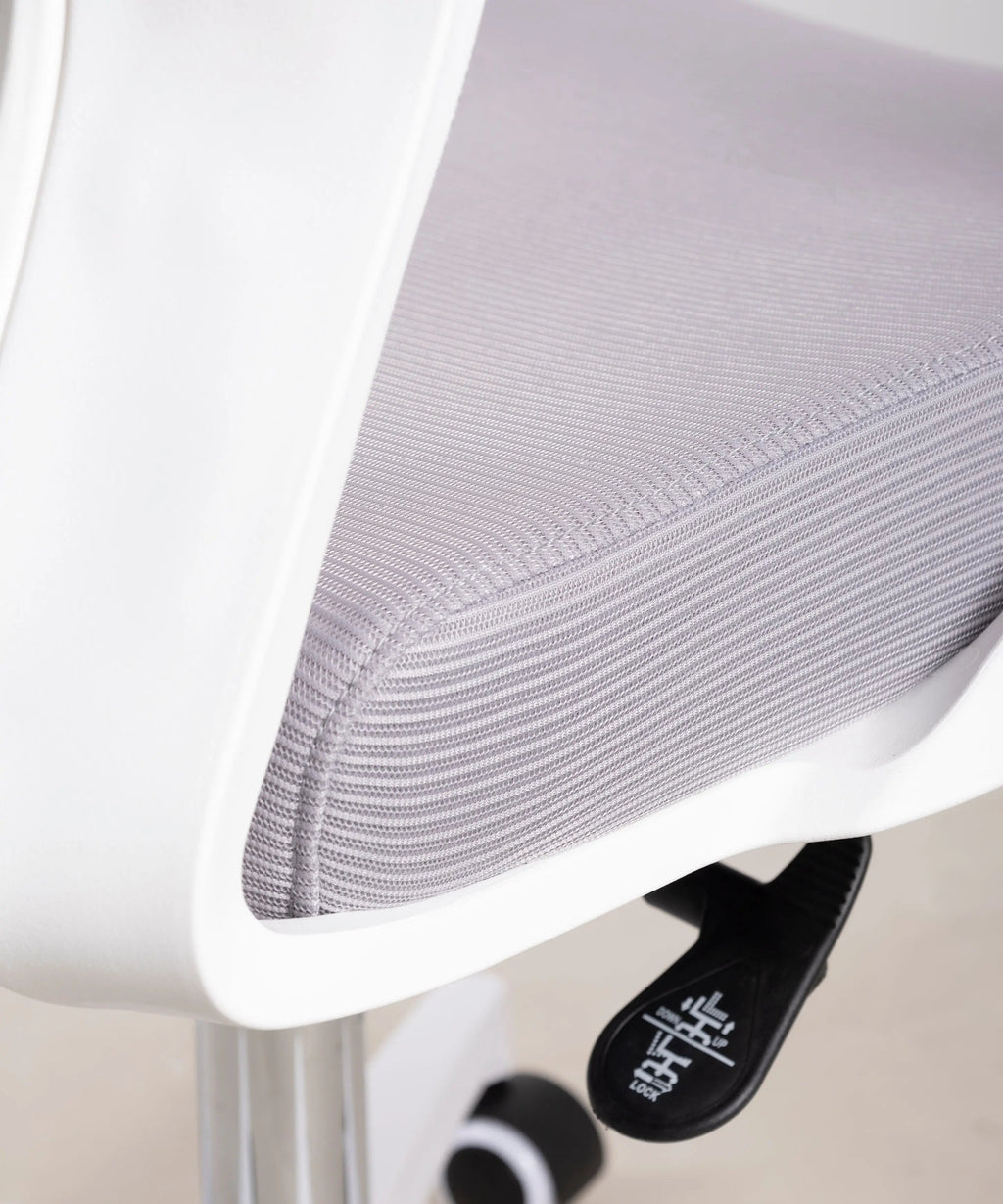 Chaise de Bureau Ergonomique Zenith - Edition Spéciale
