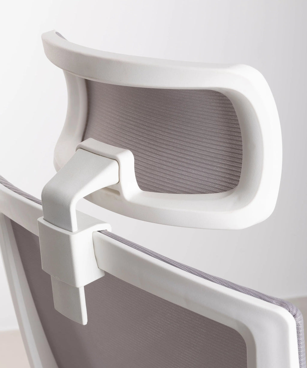 Chaise de Bureau Ergonomique Zenith - Edition Spéciale