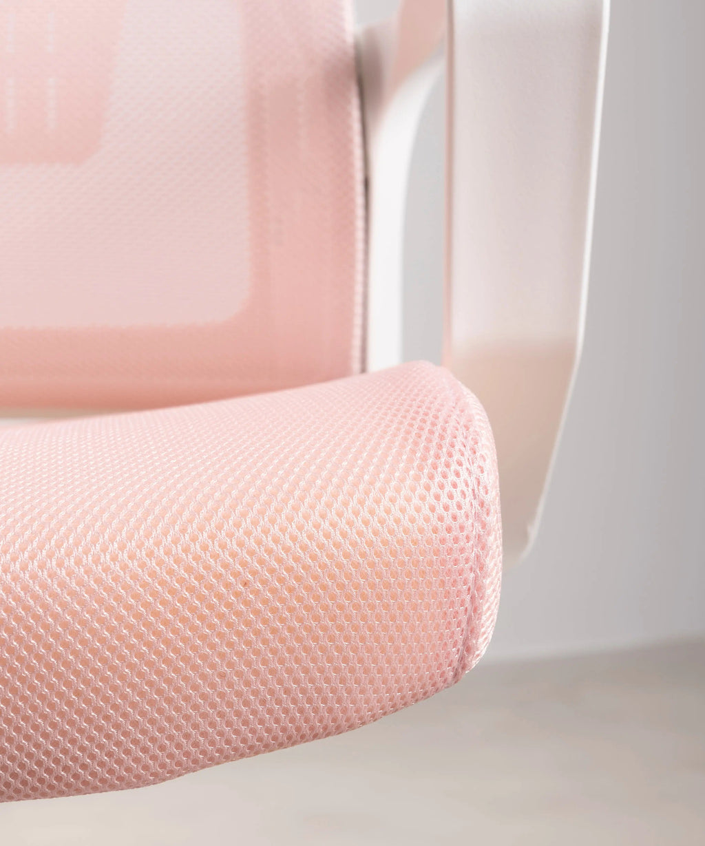 Chaise de Bureau Ergonomique Zenith - Edition Spéciale