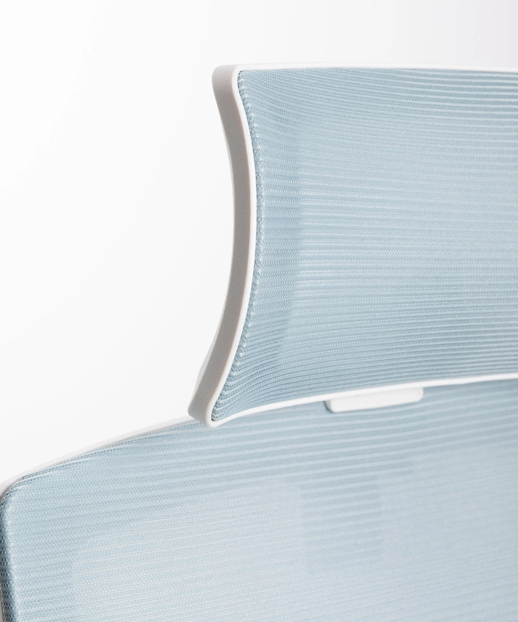 Chaise de Bureau Ergonomique Zenith - Edition Spéciale