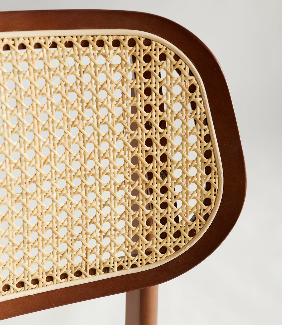 Chaise de Salle à Manger en Bois Massif Rembourrée Elma