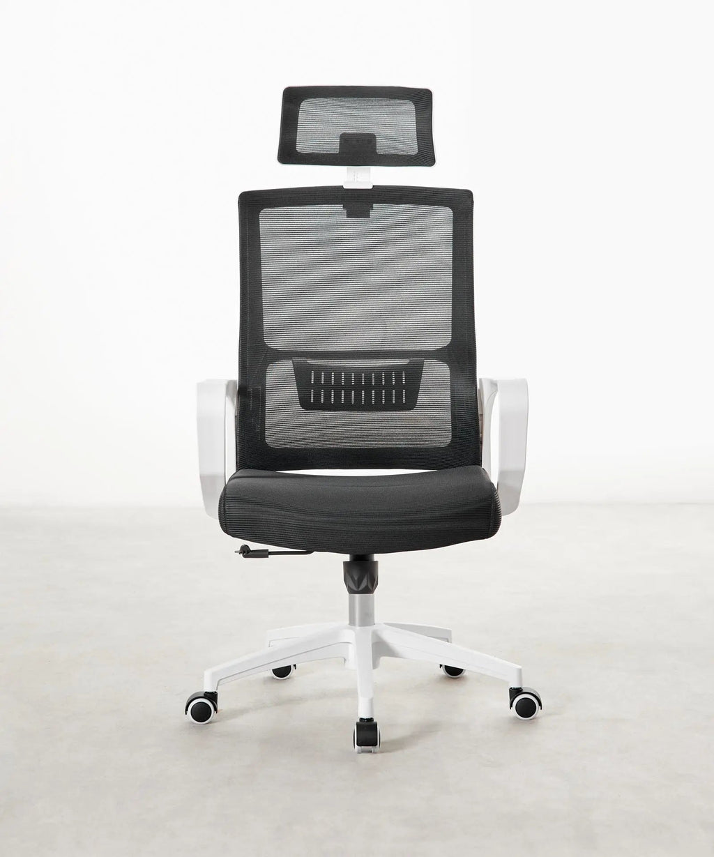 Chaise de Bureau Ergonomique Zenith - Edition Spéciale