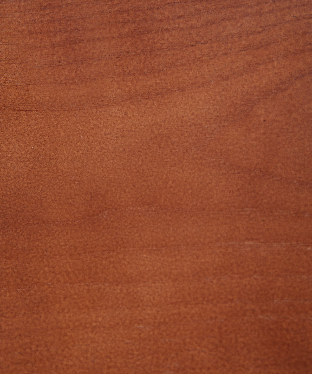 Chaise de salle à manger en bois rembourrée Bianca