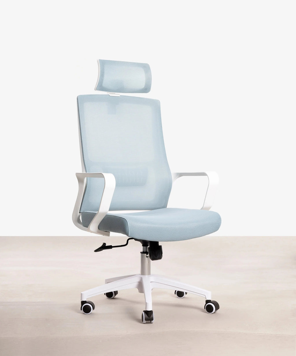 Chaise de Bureau Ergonomique Zenith - Edition Spéciale