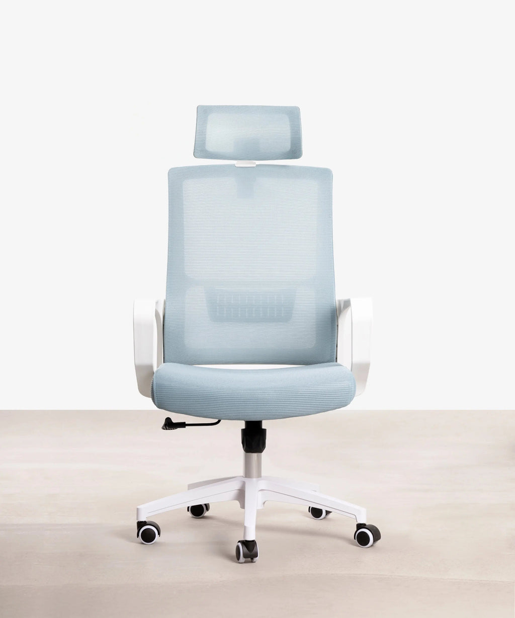 Chaise de Bureau Ergonomique Zenith - Edition Spéciale
