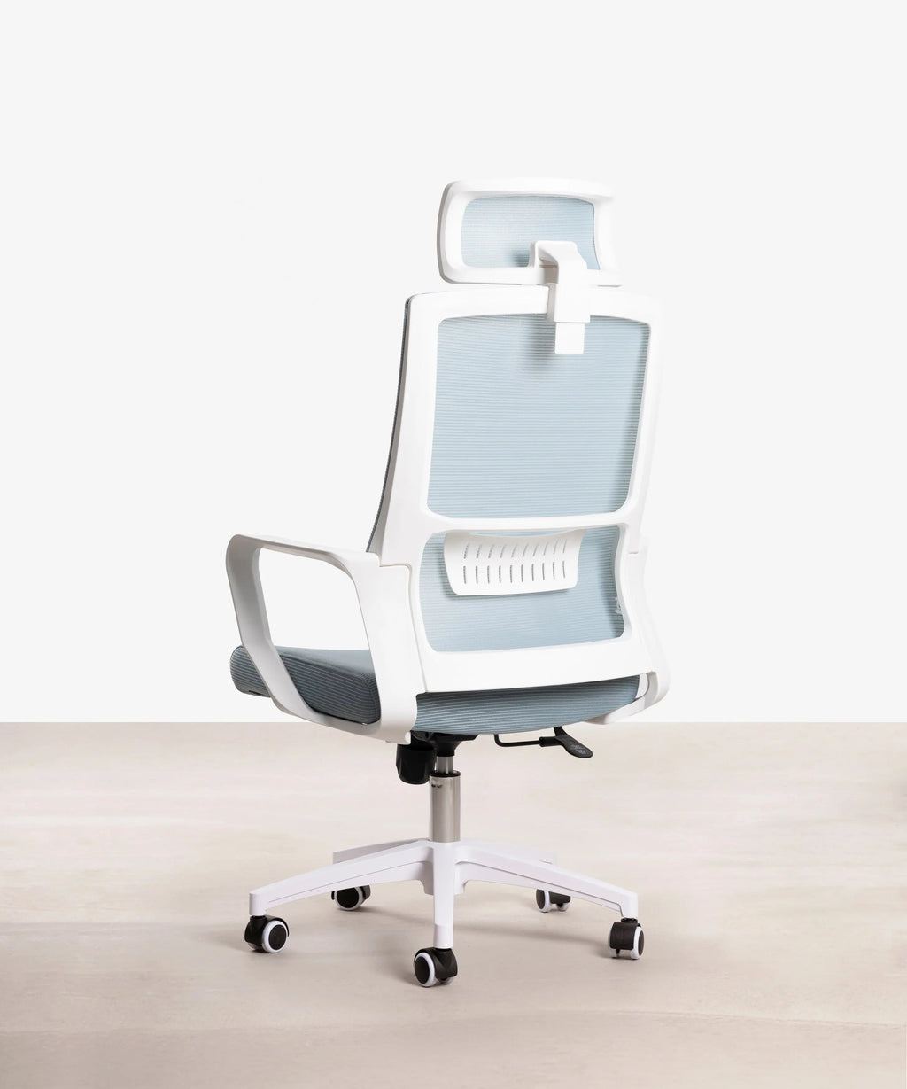 Chaise de Bureau Ergonomique Zenith - Edition Spéciale