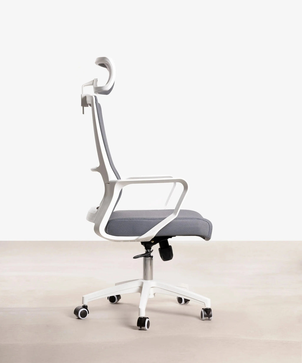 Chaise de Bureau Ergonomique Zenith - Edition Spéciale