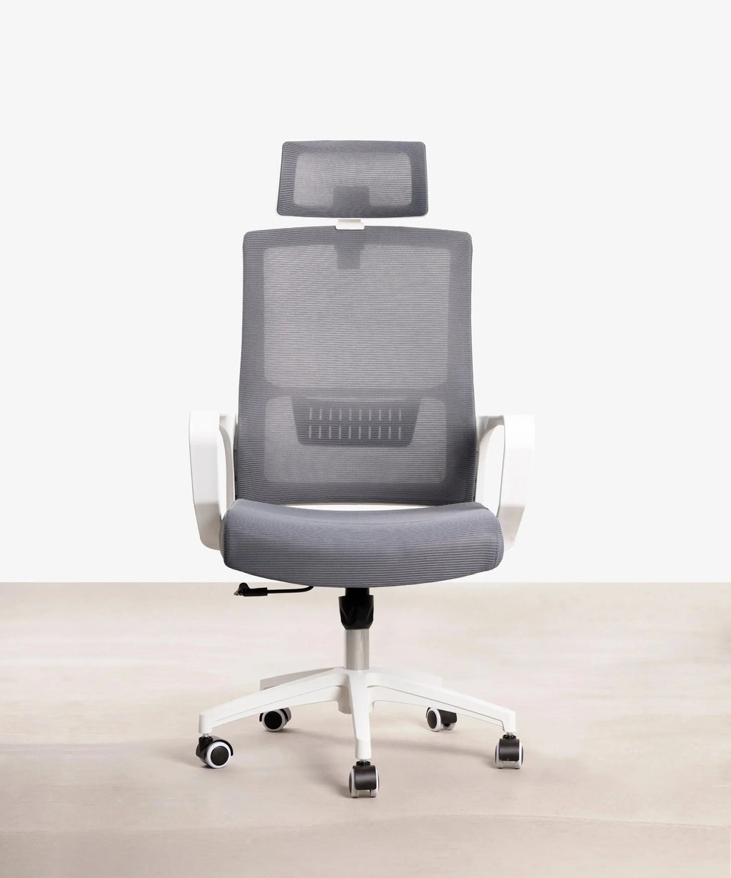 Chaise de Bureau Ergonomique Zenith - Edition Spéciale