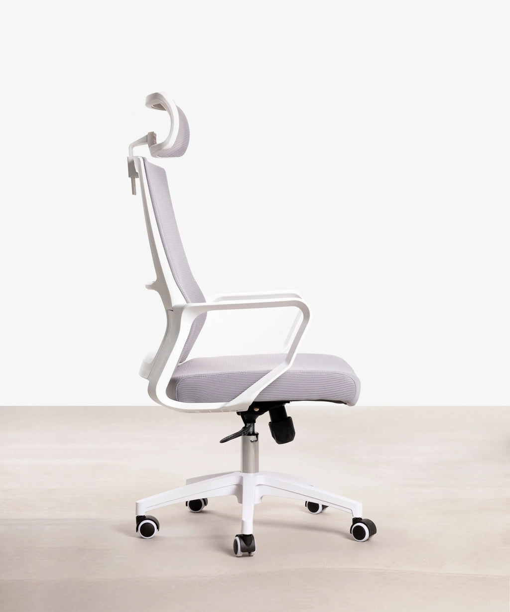 Chaise de Bureau Ergonomique Zenith - Edition Spéciale
