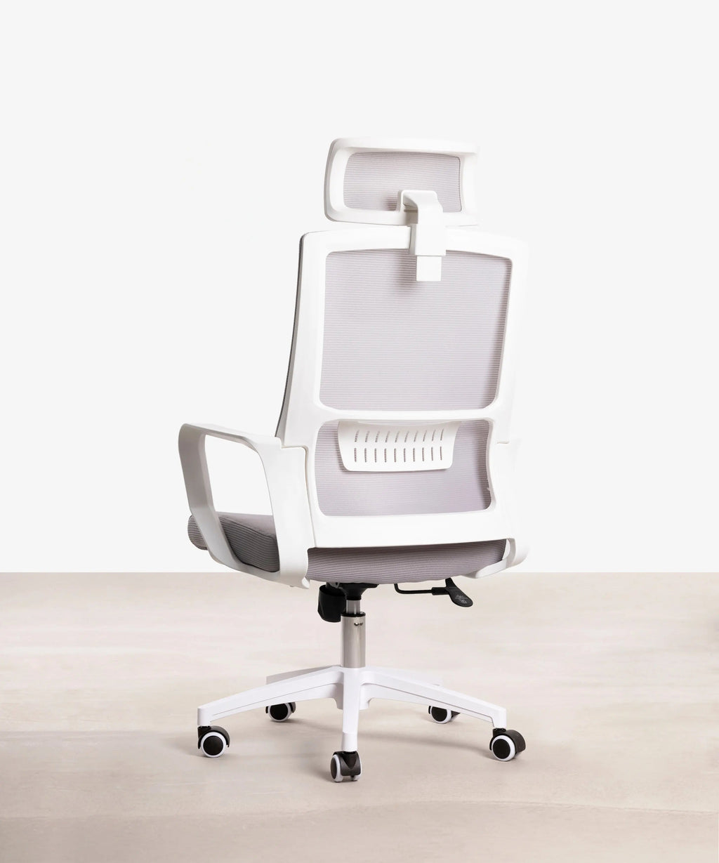 Chaise de Bureau Ergonomique Zenith - Edition Spéciale