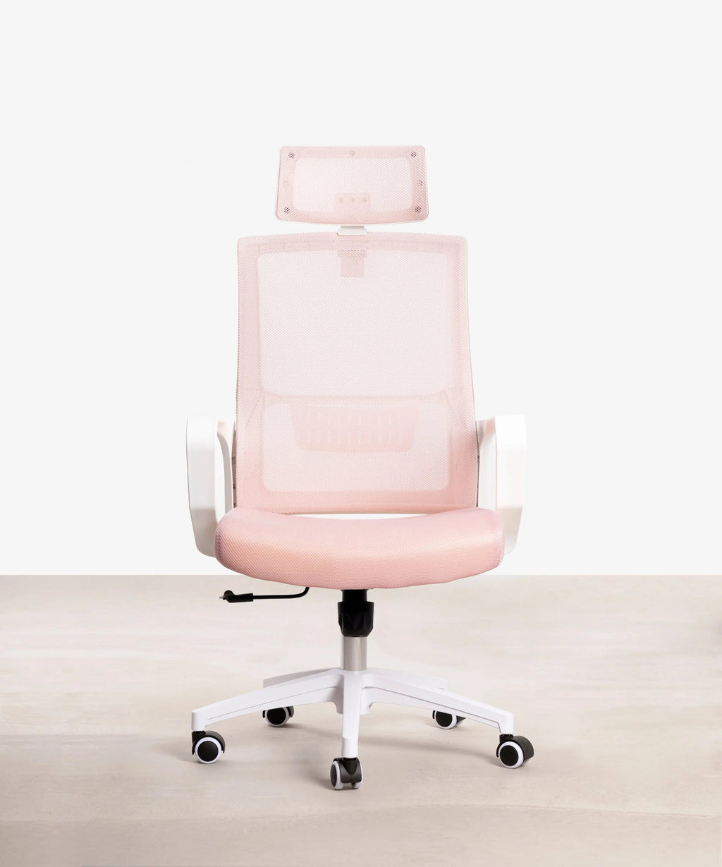 Chaise de Bureau Ergonomique Zenith - Edition Spéciale