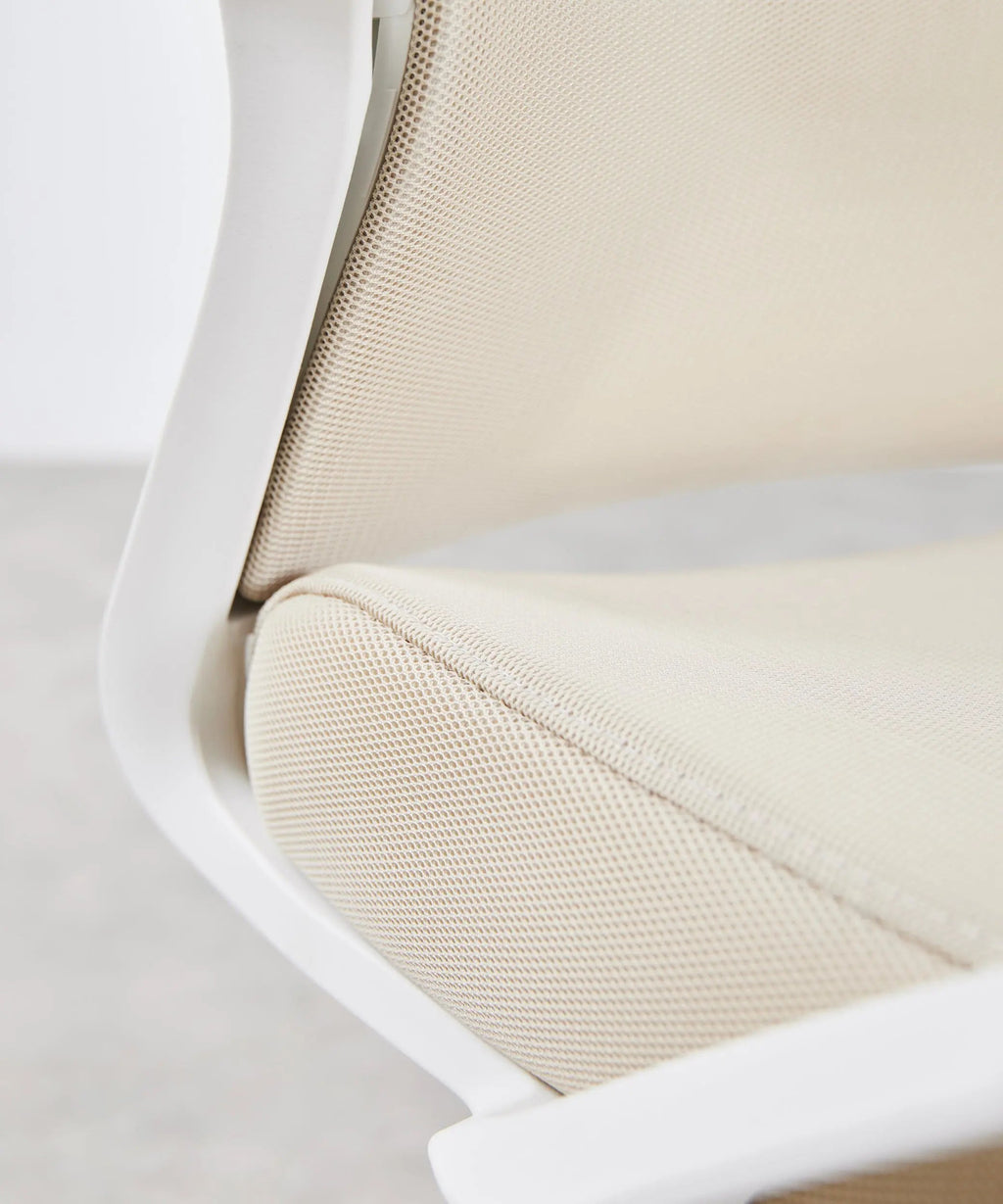 Chaise de Bureau Ergonomique Zenith - Edition Spéciale