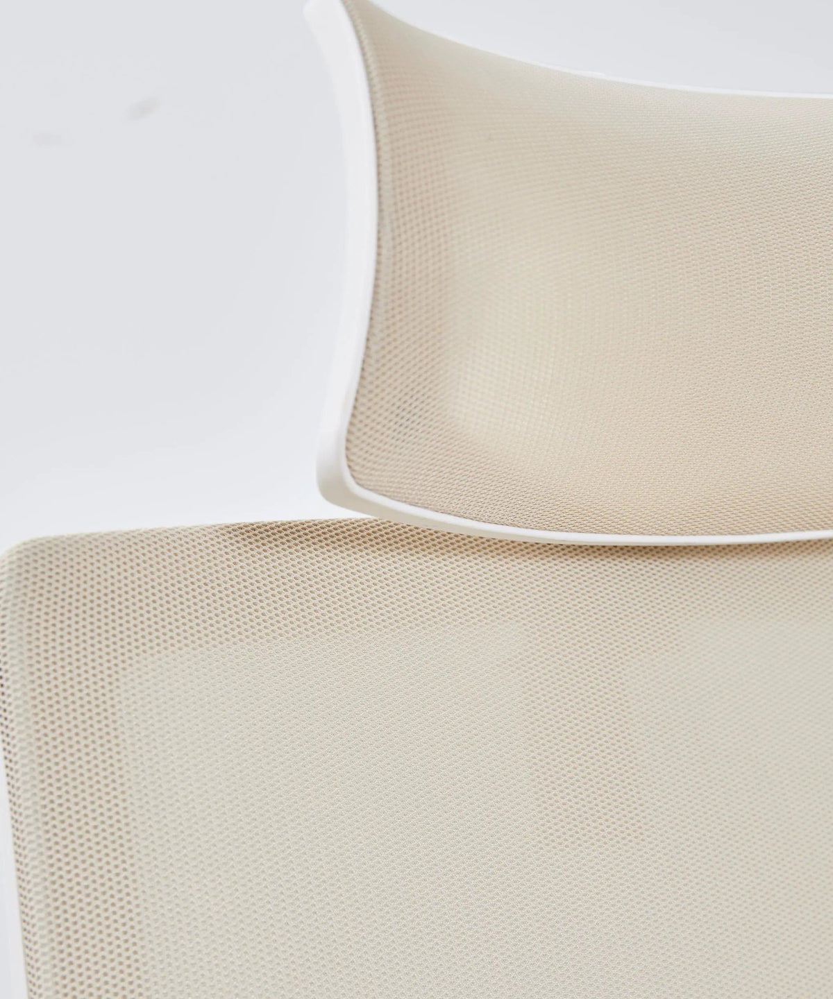 Chaise de Bureau Ergonomique Zenith - Edition Spéciale